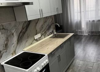 Аренда квартиры студии, 25 м2, Ростов-на-Дону, улица Ткачёва, 38с1, ЖК Пятый Элемент