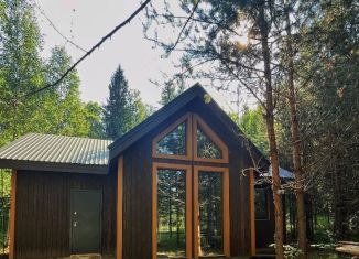 Продается дом, 85 м2, деревня Сепыч, Лесная улица