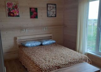 Сдача в аренду дома, 42 м2, поселок городского типа Приморский, 7-я Морская улица, 810