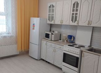 1-ком. квартира в аренду, 42.2 м2, Нижний Новгород, улица Бориса Видяева, 10
