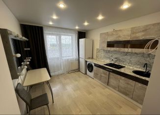 Сдаю в аренду 1-комнатную квартиру, 45 м2, Владимир, улица Нижняя Дуброва