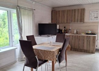 Сдача в аренду дачи, 45 м2, Карелия, Центральная улица, 2