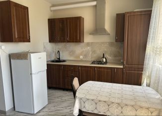 Сдаю квартиру студию, 45 м2, село Раздольное, СНТ Оазис, 61