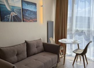 Сдается в аренду квартира студия, 24 м2, Сочи, Ясногорская улица, 16/8к2, микрорайон Бытха