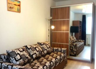 Сдается в аренду 1-комнатная квартира, 30 м2, Санкт-Петербург, Парашютная улица, 38к2, ЖК Граффити