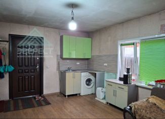 Продажа дома, 50 м2, деревня Чапаево, Набережная улица