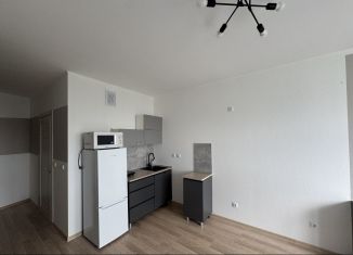 Аренда квартиры студии, 25 м2, Екатеринбург, улица Николая Кичигина, 7/3, ЖК Нова парк