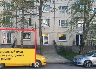 Продается помещение свободного назначения, 42 м2, Санкт-Петербург, улица Хошимина, 13к1Б, Выборгский район