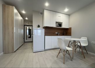 Сдам квартиру студию, 28.5 м2, Лобня, улица Колычева, 7