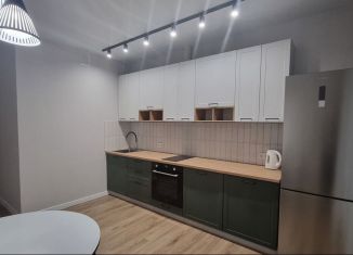 1-ком. квартира в аренду, 41 м2, Новосибирск, улица Немировича-Данченко, 167/3, ЖК Расцветай на Маркса