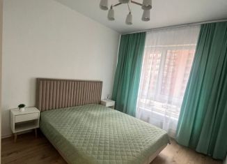 Аренда 1-ком. квартиры, 35 м2, деревня Новое Девяткино, Главная улица, 8к1