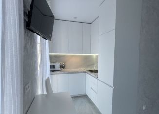 Аренда квартиры студии, 25 м2, Сочи, Альпийская улица, 102/6