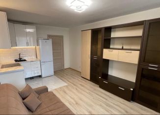 Сдам квартиру студию, 30 м2, городской посёлок Янино-1, Голландская улица, 10к2