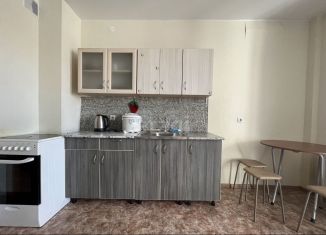 Сдаю в аренду квартиру студию, 26 м2, Тюмень, Интернациональная улица, 199к6, ЖК Авиатор