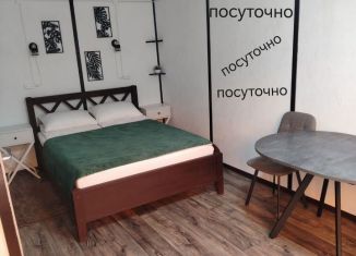 Сдается дом, 20 м2, Республика Алтай, Р-256 Чуйский тракт, 488-й километр