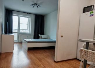 Сдается квартира студия, 27.3 м2, посёлок Парголово, Заречная улица, 19к1, ЖК Паркола