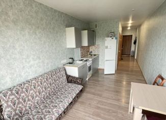 Квартира в аренду студия, 29 м2, Дмитров, Спасская улица, 6А