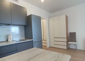 Квартира в аренду студия, 25.5 м2, Котельники, Новая улица, 3