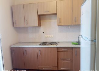 Сдаю в аренду 1-комнатную квартиру, 42 м2, Старый Оскол, микрорайон Северный, 8, ЖК Витязь