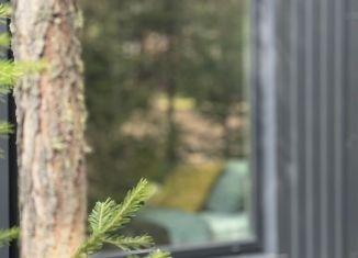 Дом в аренду, 15 м2, деревня Отнурок, Лесной переулок