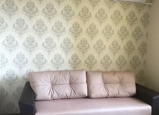 Квартира в аренду студия, 26 м2, Ростов-на-Дону, улица Ткачёва, 16, ЖК Итальянский Квартал