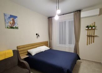 Сдаю дом, 18 м2, село Уютное, Садовая улица, 53