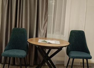 Сдается в аренду дом, 50 м2, деревня Шамсутдин, Приозёрная улица, 7-4