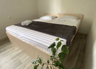 Сдается в аренду дом, 50 м2, Сочи, улица Ленина, 256, микрорайон Голубые Дали