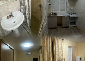 Сдается в аренду дом, 50 м2, село Мысхако, улица Крупской