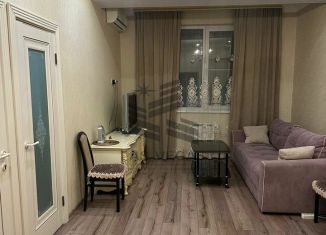 Сдам в аренду 1-ком. квартиру, 45 м2, Сочи, Виноградная улица, 121/7, микрорайон Новый Сочи