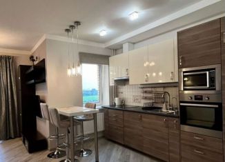 Сдам в аренду квартиру студию, 30 м2, Санкт-Петербург, Выборгское шоссе, 35к1, Выборгское шоссе