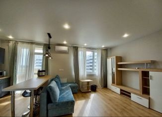 Сдаю в аренду однокомнатную квартиру, 41.3 м2, Нижний Новгород, улица Маршала Баграмяна, 3, ЖК Маршал Град