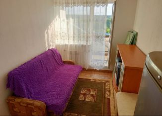 Квартира в аренду студия, 12 м2, Тюменская область, улица Бабарынка, 16А
