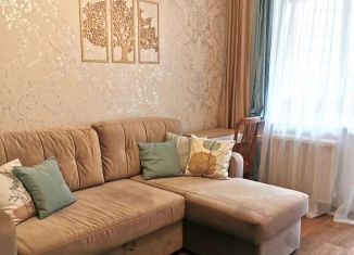 Сдается в аренду 2-комнатная квартира, 50 м2, Тюмень, улица Пермякова, 68к2, ЖК Домостроитель