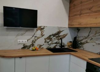 Сдаю в аренду 1-ком. квартиру, 31 м2, Томская область, проспект Фрунзе, 65
