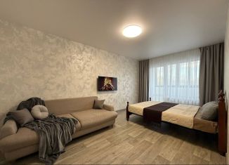 Аренда 1-комнатной квартиры, 40 м2, Новосибирск, улица Ясный Берег, 35, Ленинский район