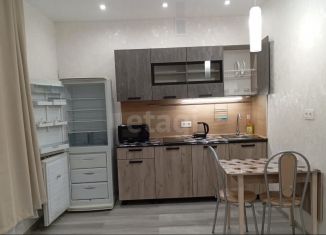 Сдам в аренду квартиру студию, 24.2 м2, Сыктывкар, Петрозаводская улица, 43, район Орбита