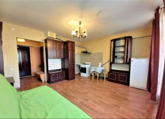 Сдаю квартиру студию, 26 м2, Петергоф, Парковая улица, 18