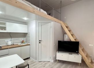 Сдам в аренду квартиру студию, 24.5 м2, Карелия, улица Маяковского, 24