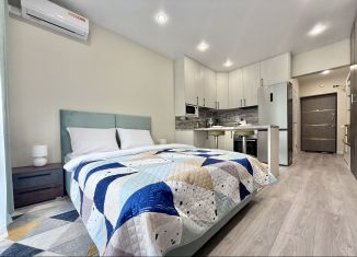 Квартира в аренду студия, 27.8 м2, Сочи, улица Искры, 88к3, микрорайон Кудепста