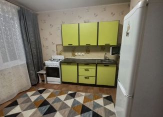 Сдается в аренду однокомнатная квартира, 42 м2, Саратов, улица имени П.Ф. Батавина, 13