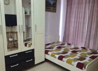 Сдача в аренду 1-комнатной квартиры, 30 м2, Сочи, Волжская улица, 30, микрорайон Мамайка