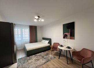 Сдаю в аренду квартиру студию, 30 м2, Санкт-Петербург, Гудиловская улица, ЖК Живи в Рыбацком