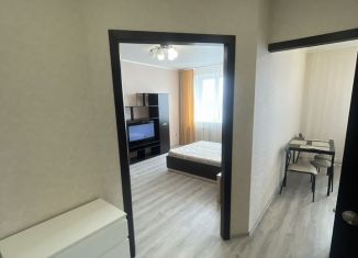 1-ком. квартира в аренду, 47 м2, Орёл, улица Андрианова, 31