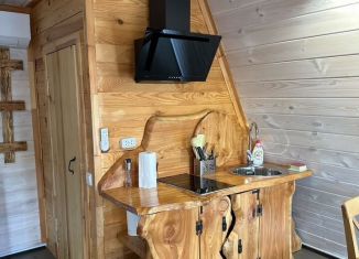 Аренда дома, 30 м2, Томск, площадь Ленина