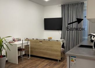 Сдам в аренду квартиру студию, 30 м2, Мурино, Петровский бульвар, 5