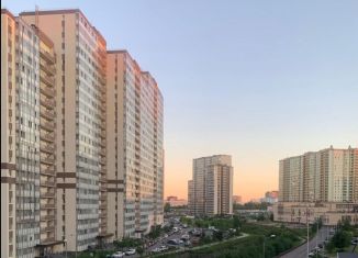 Квартира в аренду студия, 25.8 м2, Мурино, бульвар Менделеева, 2к2, ЖК Виктория