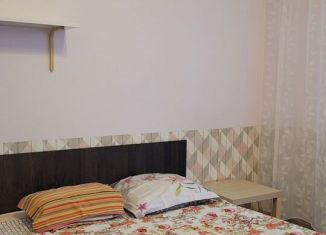 Квартира в аренду студия, 25.7 м2, Мурино, Охтинская аллея, 4, ЖК Мой Город