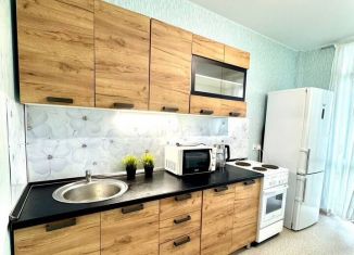 Сдается 1-ком. квартира, 46 м2, Пермь, улица Пушкина, 6