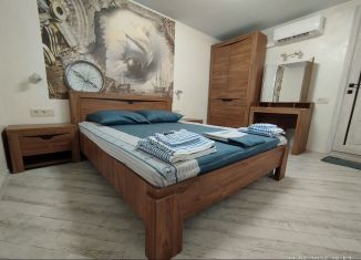 Дом в аренду, 35 м2, поселок городского типа Заозерное, улица Олега Кошевого, 65